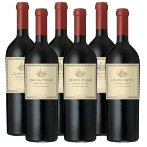 Adrianna Vineyard Fortuna Terrae by Catena Zapata 750ml (6 Bottles)