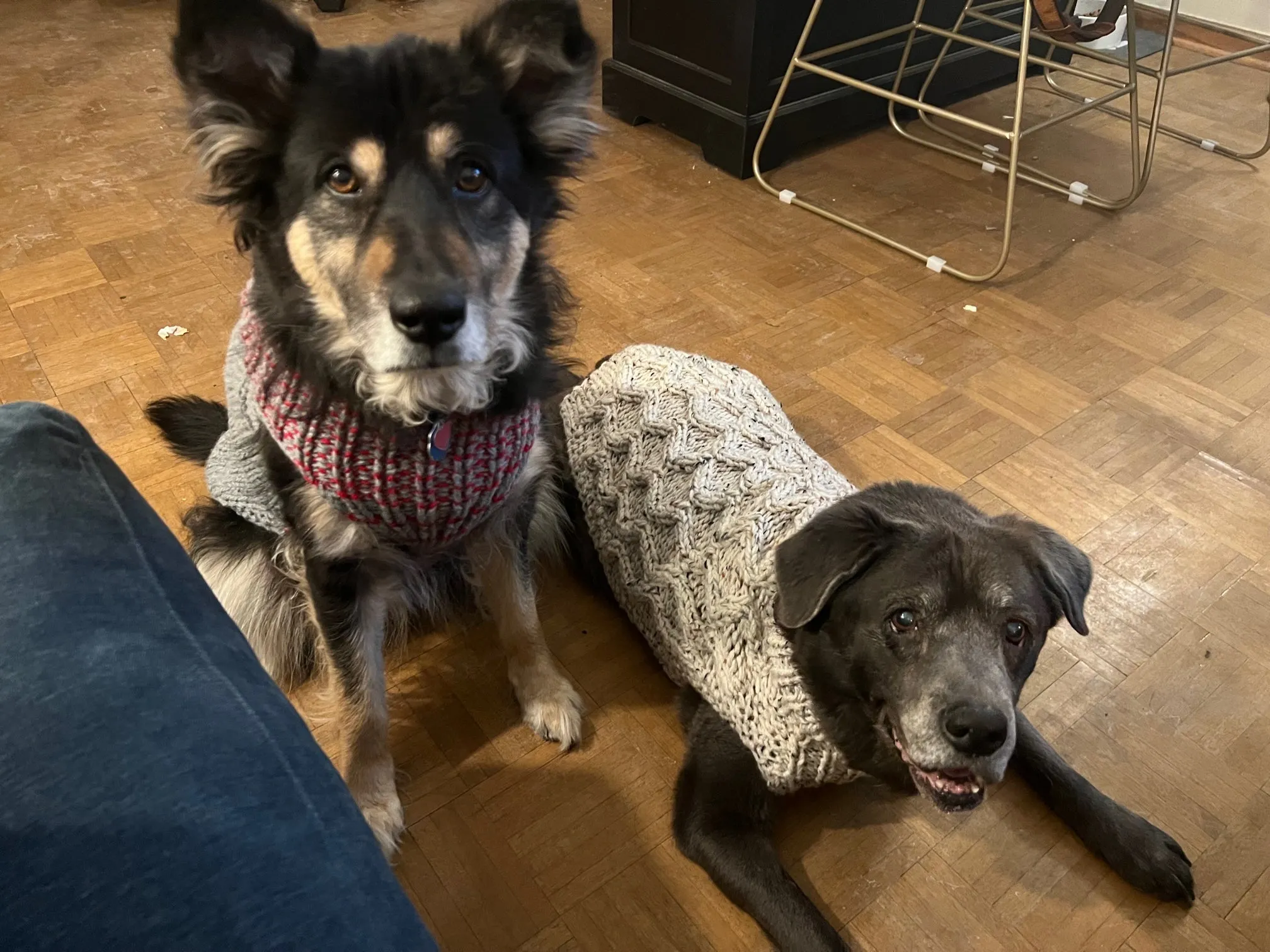 Hand Knit Dog Sweaters