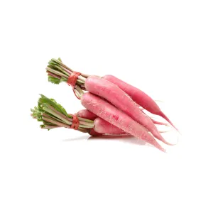 Radish Red Candlestick Candela Di Fuoco Seeds | Weston Seeds