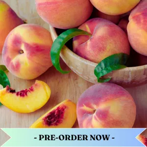 Sweet Peach Fragrance Oil Pre Order